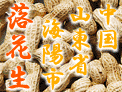 中国産の落花生